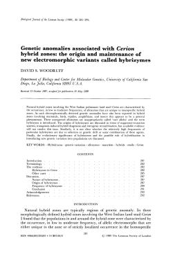 Genetic anomalies associated with Cerion hybrid zones: the origin