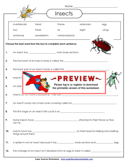 Insect Fill-in-the-Blanks - Super Teacher Worksheets