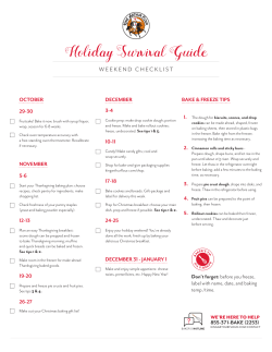 Holiday Survival Guide