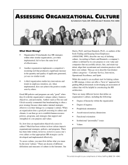 assessing organizational culture