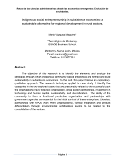 Indigenous social entrepreneurship in subsistence economies: a