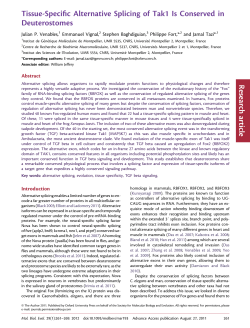 Tissue-Specific Alternative Splicing of Tak1 Is