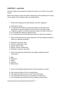 chapter 3 &ndash; questions
