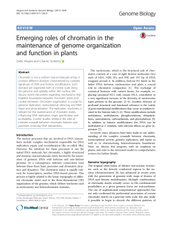 Emerging roles of chromatin in the maintenance