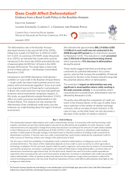 Does Credit Affect Deforestation &ndash; Executive Summary