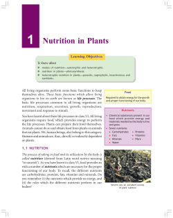 Nutrition in Plants - Viva Online Learning