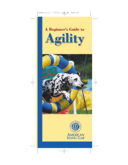 A Beginner`s Guide to Agility