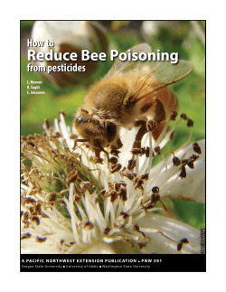 How to Reduce Bee Poisoning from Pesticides