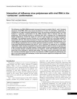 Interaction of influenza virus polymerase with viral RNA in the