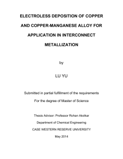 View - OhioLINK Electronic Theses and Dissertations Center