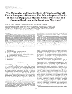 The Molecular and Genetic Basis of Fibroblast Growth Factor