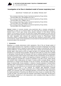 Investigation of air flow in idealized model of human respiratory