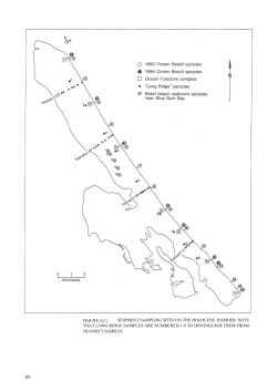 Part 8: Formation, landforms and paleoenvironment of Matakana