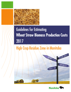 Cost of Production wheat straw biomass