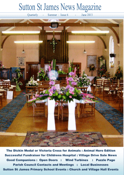 The Dickin Medal or Victoria Cross for Animals : Animal Hero Edition