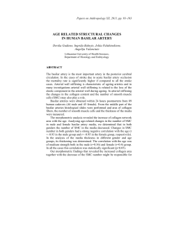 age related structural changes in human basilar artery