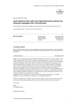 Lgr5 intestinal stem cells have high telomerase activity and
