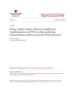 Tissue culture studies of human lymphocyte transformation and DNA