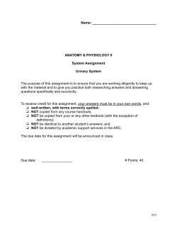 Sys Assignment - Urinary System