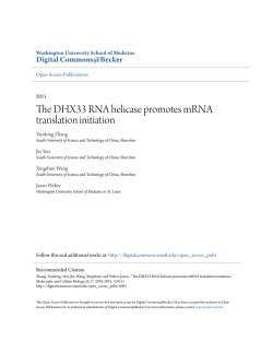 The DHX33 RNA helicase promotes mRNA translation initiation