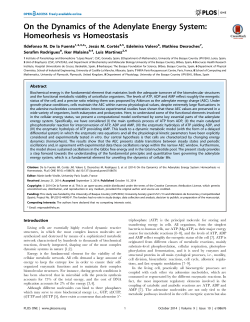 On the Dynamics of the Adenylate Energy System