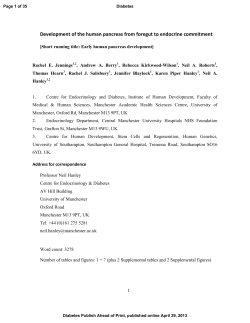 Development of the human pancreas from foregut to