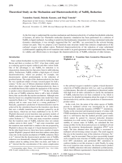 Theoretical Study on the Mechanism and