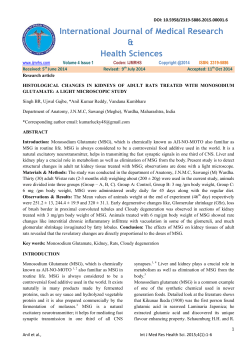 histological changes in kidneys of adult rats treated with
