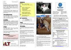 Touch&hellip; The cowboy&hellip; - Waverley Park School