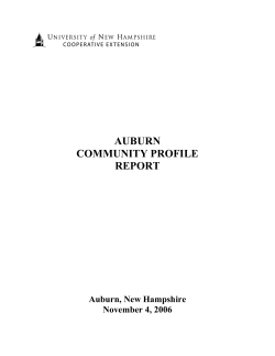 auburn community profile report