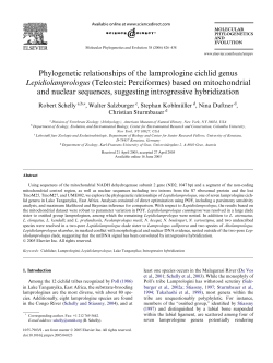 Phylogenetic relationships of the lamprologine cichlid genus