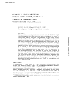 CHANGES IN NUCLEAR HISTONES DURING FERTILIZATION