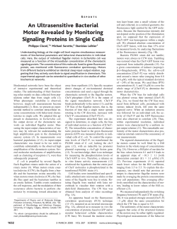 An Ultrasensitive Bacterial Motor Revealed by - ENS-phys