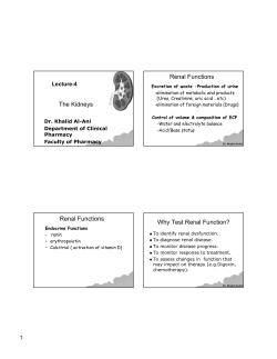 The Kidneys Renal Functions Renal Functions Why Test Renal
