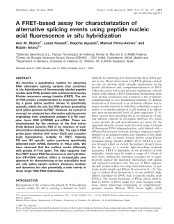 FRET-based assay for characterization of alternative splicing events