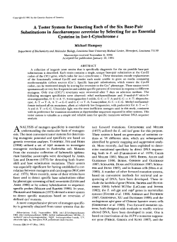 A Tester System for Detecting Each of the Six Base-Pair