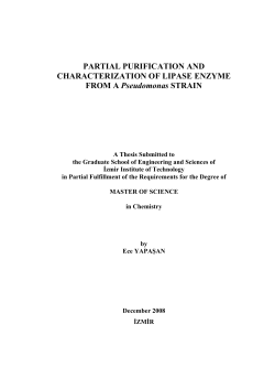 as a PDF