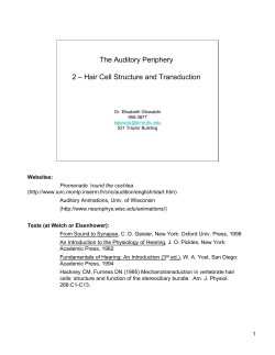 Hair Cell Structure and Transduction