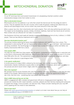 mitochondrial donation - Australian Mitochondrial Disease Foundation