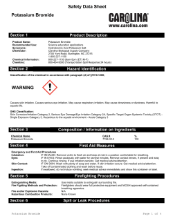Safety Data Sheet Potassium Bromide WARNING