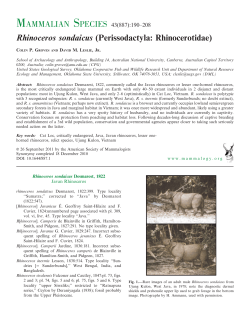 Rhinoceros sondaicus - American Society of Mammalogists