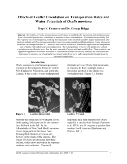 Effects of Leaflet Orientation on Transpiration Rates and Water