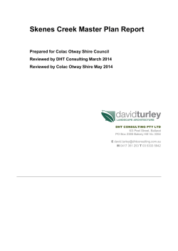 Skenes Creek Master Plan Report