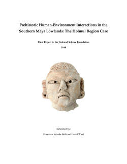 Prehistoric Human-Environment Interactions in the Southern Maya