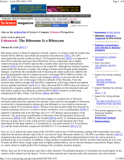 Enhanced: The Ribosome Is a Ribozyme