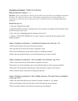 Don Quixote de la Mancha &ndash; Reading Focus Questions RFQs
