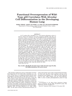 Functional Overexpression of Wild- Type p53 Correlates
