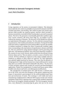 Methods to Generate Transgenic Animals