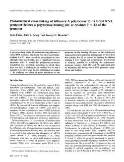 Photochemical cross-linking of influenza A polymerase to its virion