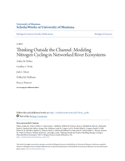 Thinking Outside the Channel: Modeling Nitrogen Cycling in